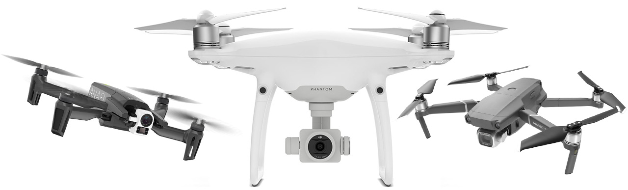 Parrot best sale phantom 4